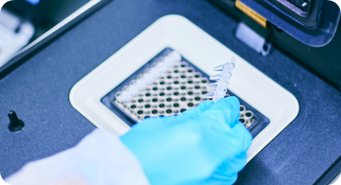 PCR検査機器の導入